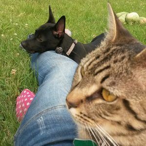 Meet your Posher, Stephanie